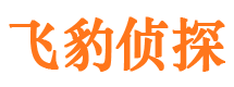 东河侦探公司